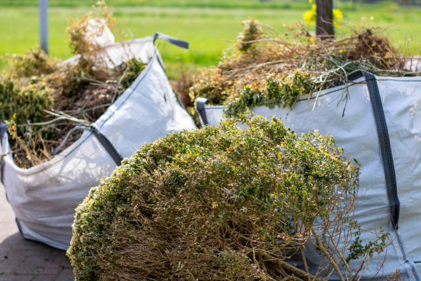 Best Appliance Removal Near Me  in Pecan Grove, TX